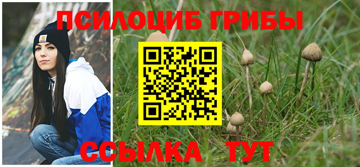 Галлюциногенные грибы Cubensis  Вход с VPN  что такое   Кузнецк 