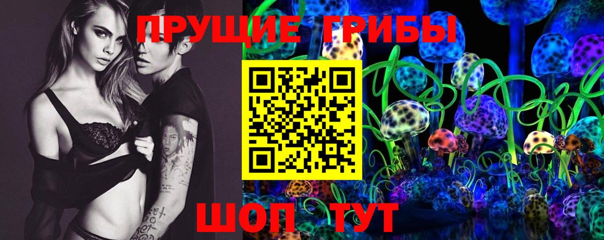 Псилоцибиновые грибы Cubensis Кузнецк